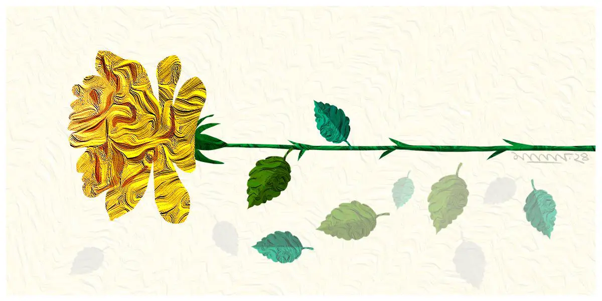 হলুদ গোলাপ